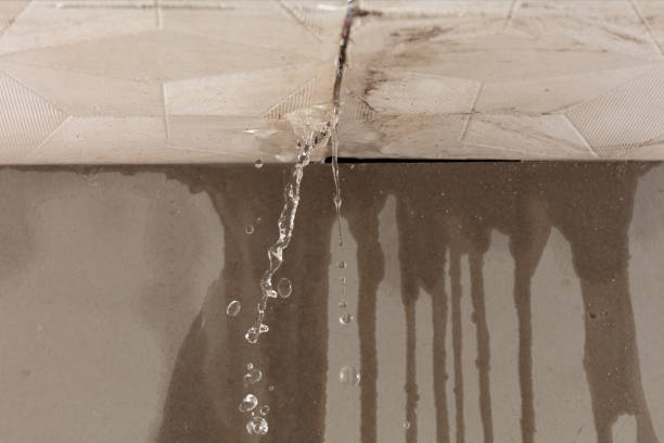 Professional Burst Pipe Cleanup technician working in Bell Buckle, TN
